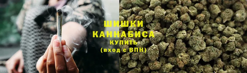 где купить наркоту  Жиздра  hydra ссылки  Шишки марихуана White Widow 